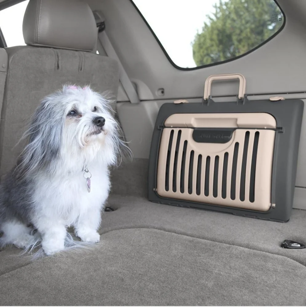 Cat/Small Animal Carrier And Bed